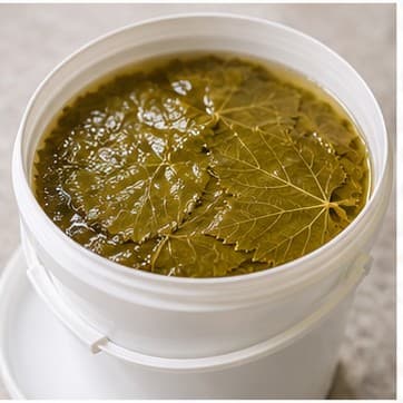 Open bucket of grape leaves in brine